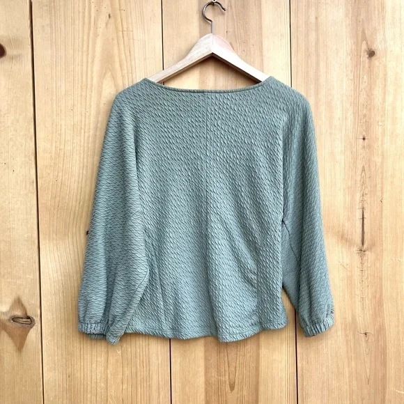Anthropologie Arya Textured Balloon Sleeve Sage Top Sz Small - Picture 6 of 6